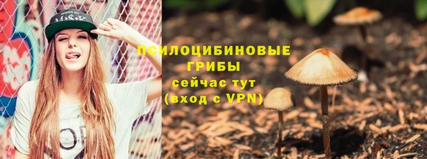 СК Аркадак