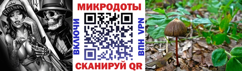 кракен зеркало  Саки  даркнет какой сайт  Псилоцибиновые грибы прущие грибы 